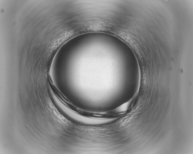 X0000086950393200704231431