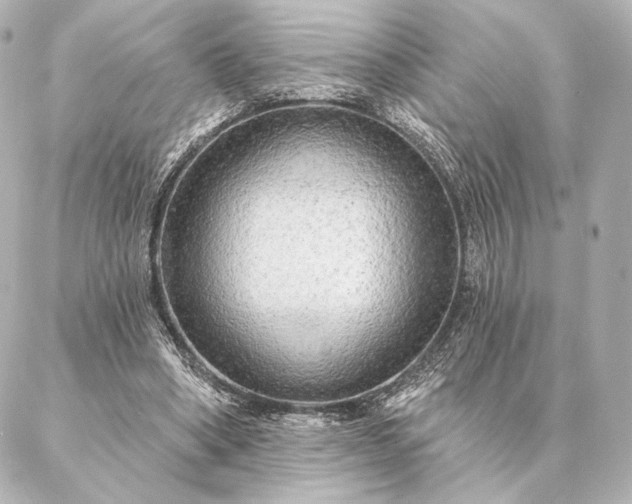 X0000086950394200704231431