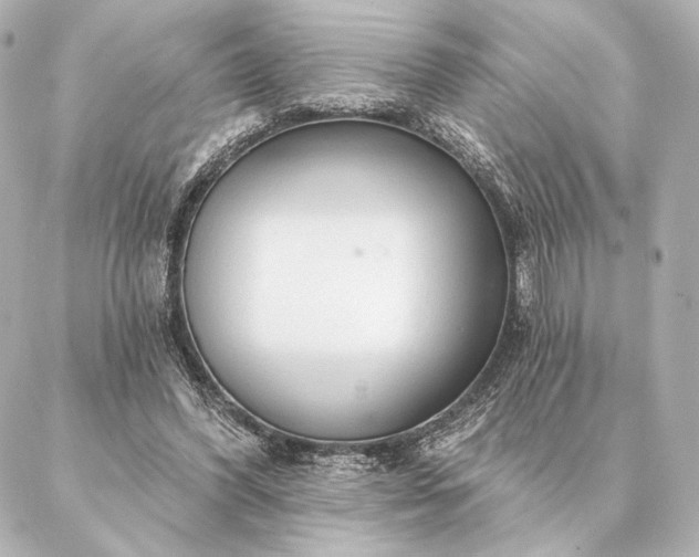 X0000086950396200704231431