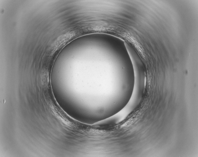 X0000086950397200704231431