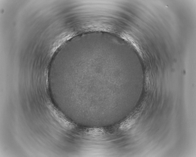 X0000086950398200704231431