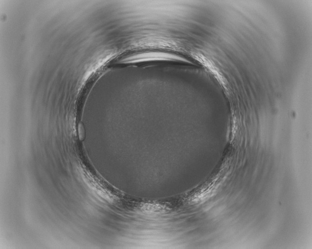 X0000086950399200704231431