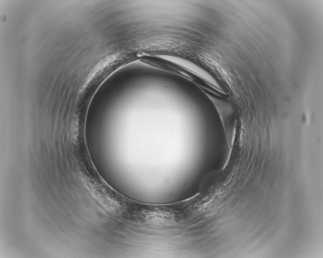 X0000086950400200704231431