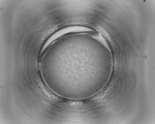 X0000086950401200704231431