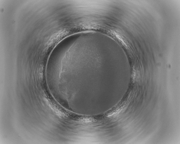 X0000086950402200704231431