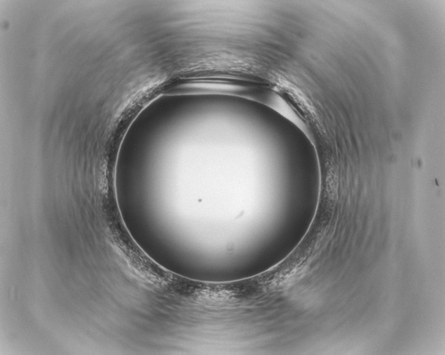 X0000086950403200704231430