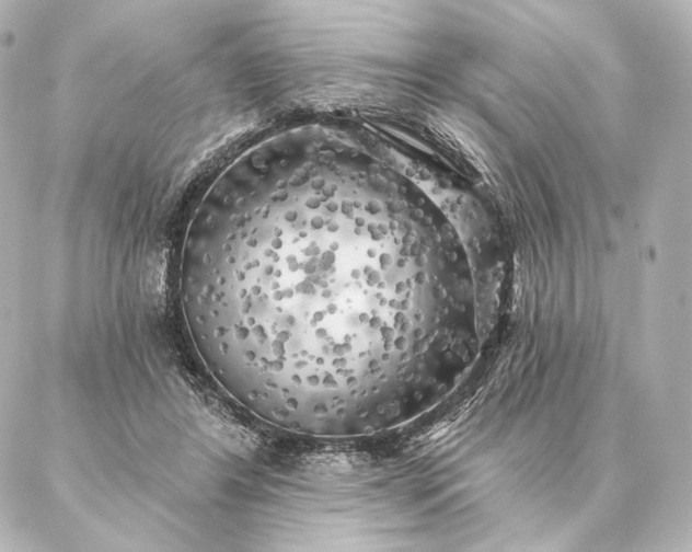 X0000086950404200704231430