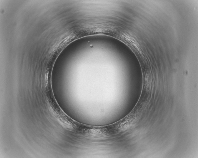 X0000086950406200704231430