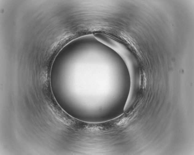 X0000086950407200704231430