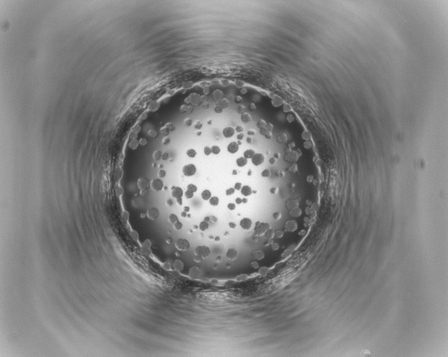 X0000086950408200704231430