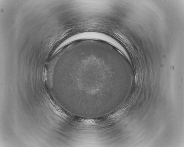 X0000086950409200704231430