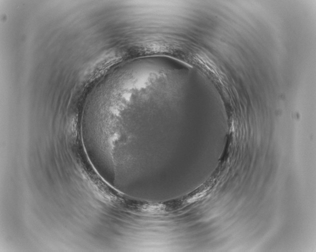 X0000086950410200704231430