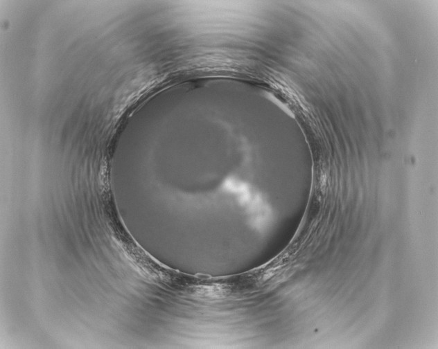 X0000086950411200704231430