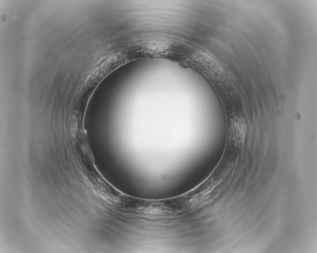 X0000086950412200704231430