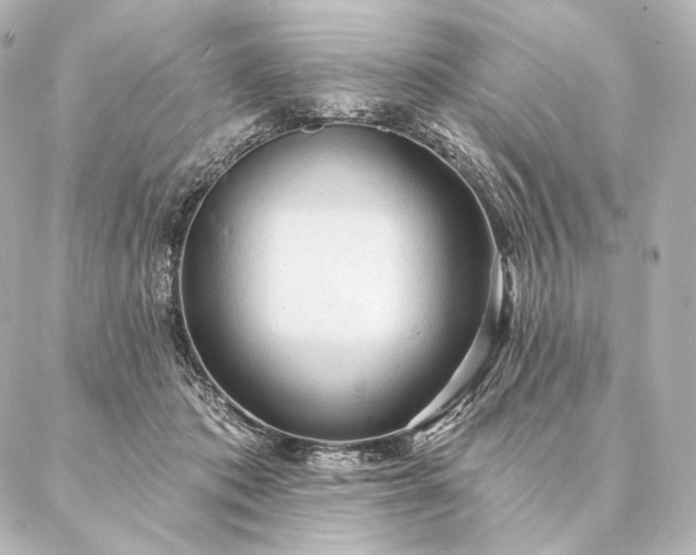 X0000086950413200704231430