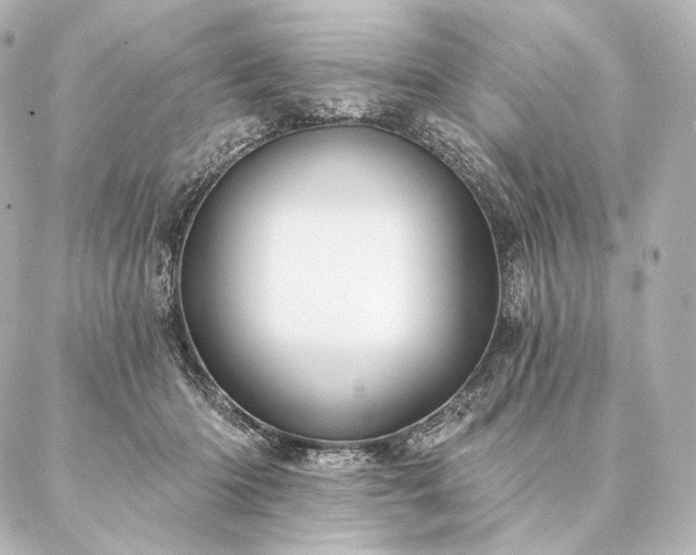 X0000086950414200704231430