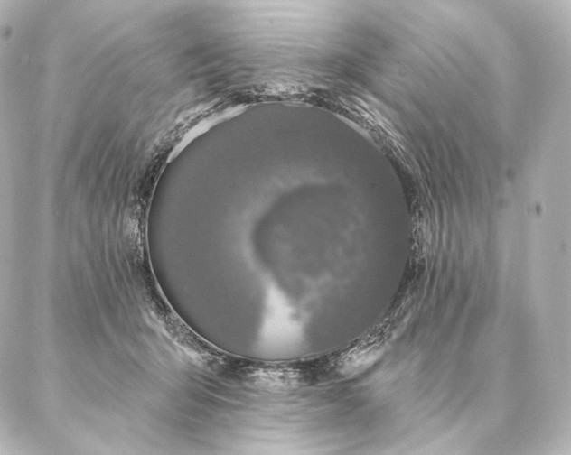 X0000086950415200704231430