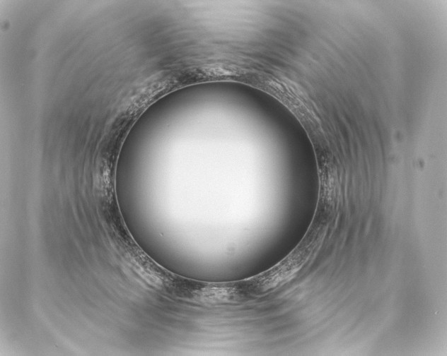 X0000086950418200704231430