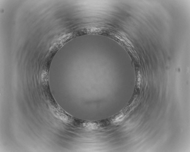 X0000086950419200704231430