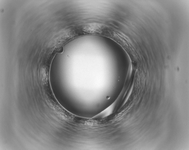 X0000086950420200704231430