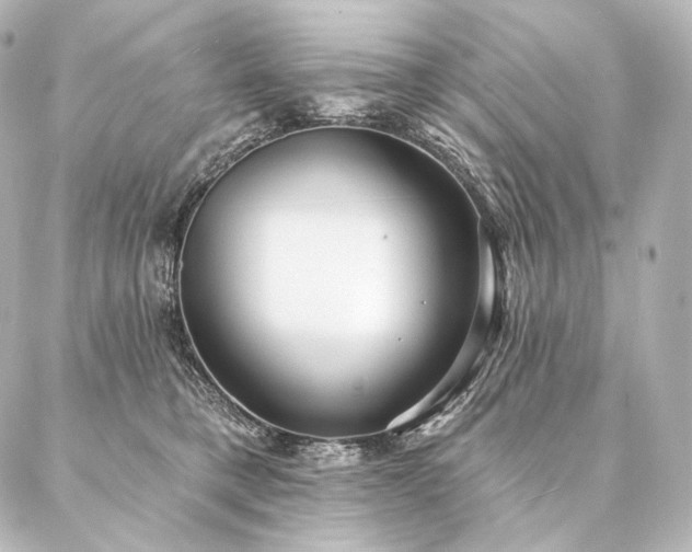 X0000086950421200704231430