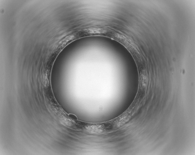 X0000086950422200704231430