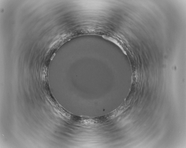 X0000086950423200704231430