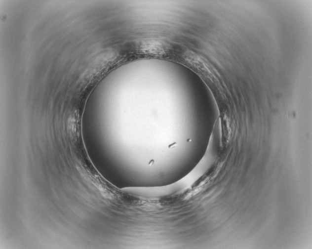 X0000086950424200704231430