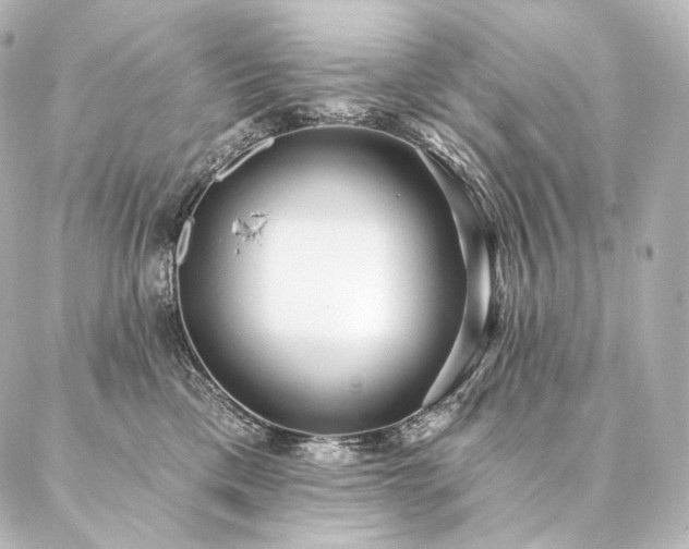 X0000086950425200704231430