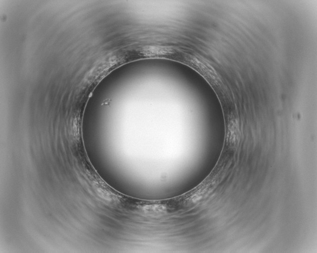 X0000086950426200704231430