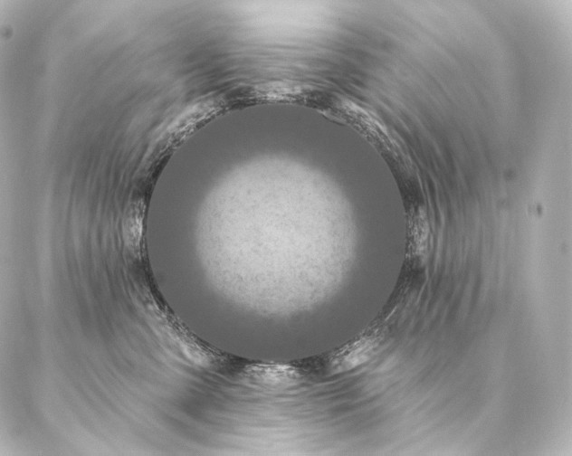 X0000086950427200704231430