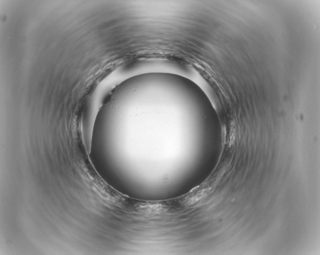 X0000086950428200704231430