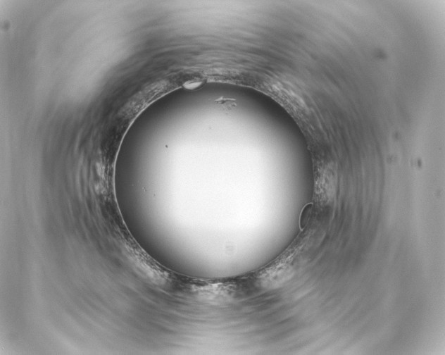 X0000086950430200704231430