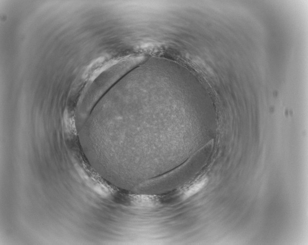 X0000086950432200704231430