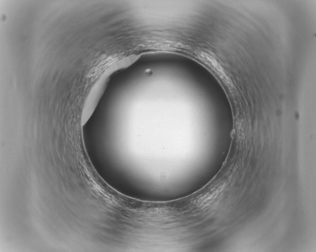 X0000086950433200704231429