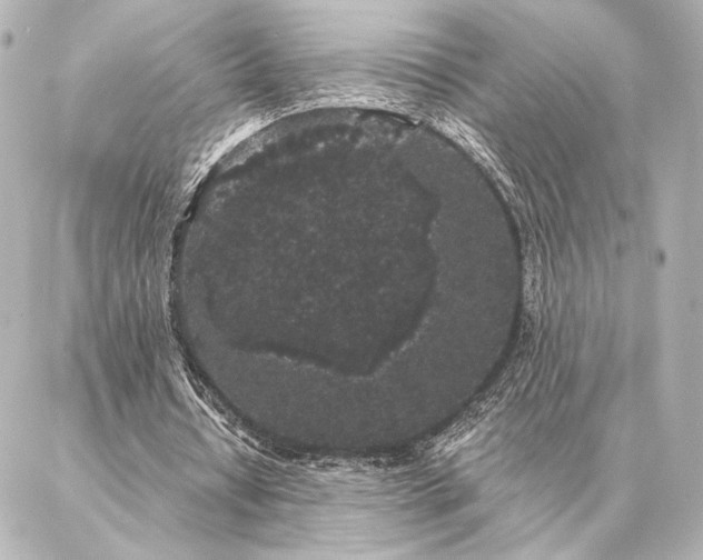 X0000086950434200704231429