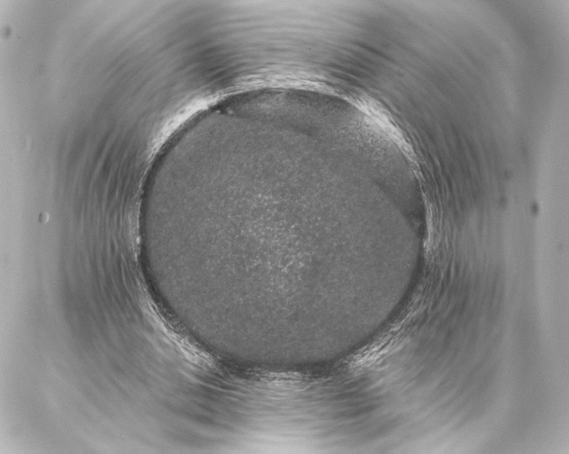 X0000086950438200704231429