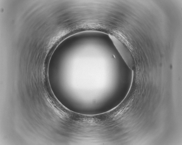 X0000086950439200704231429