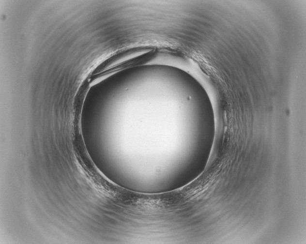 X0000086950440200704231429