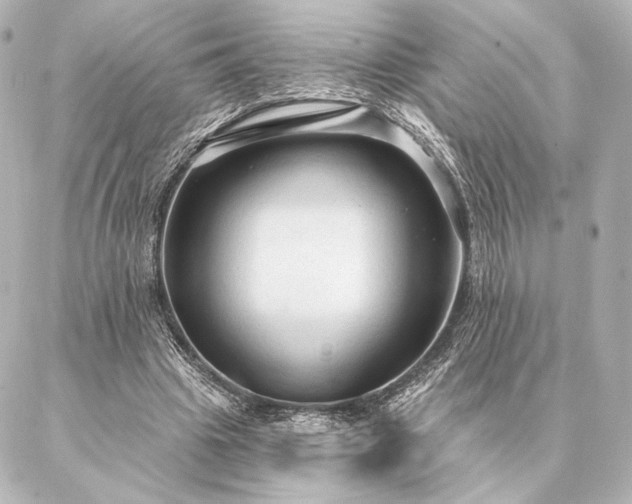 X0000086950441200704231429