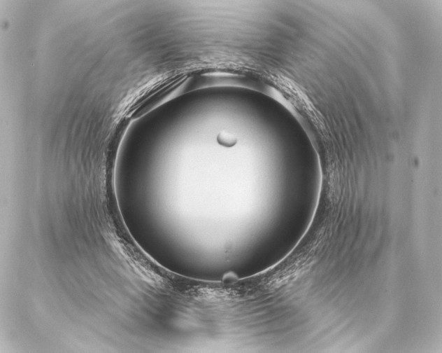 X0000086950442200704231429