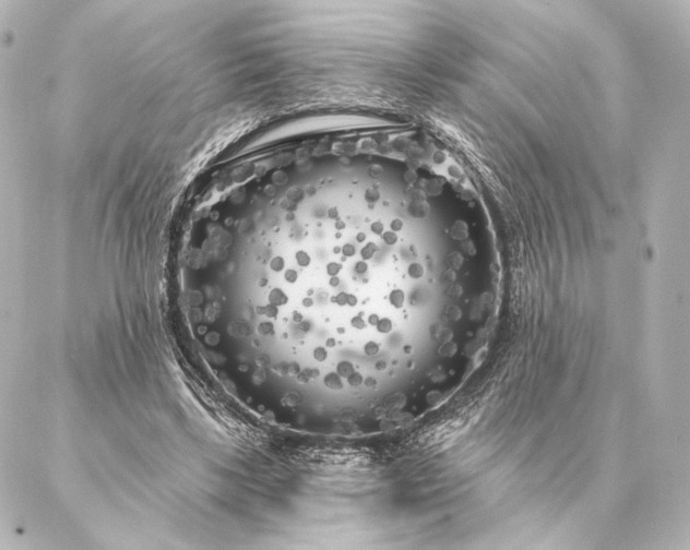 X0000086950443200704231429