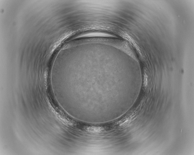 X0000086950444200704231429