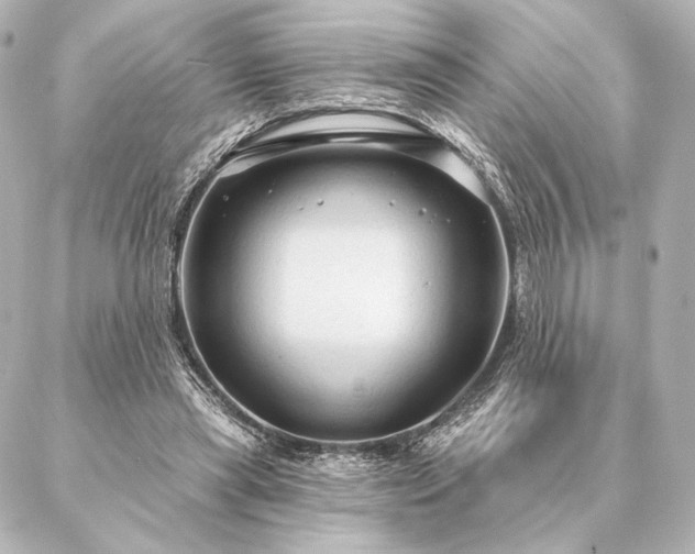 X0000086950445200704231429