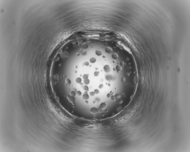 X0000086950447200704231429