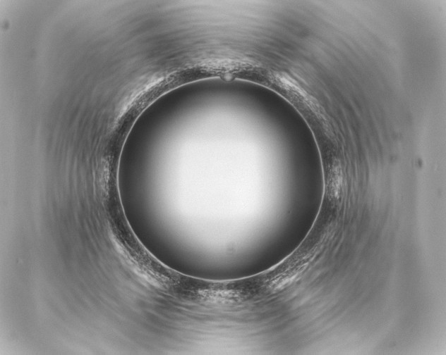 X0000086950448200704231429