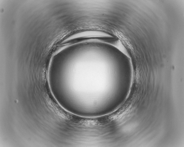 X0000086950449200704231430