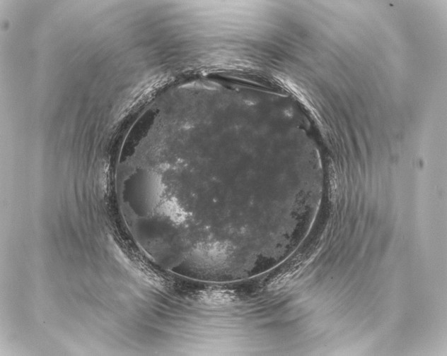 X0000086950451200704231430