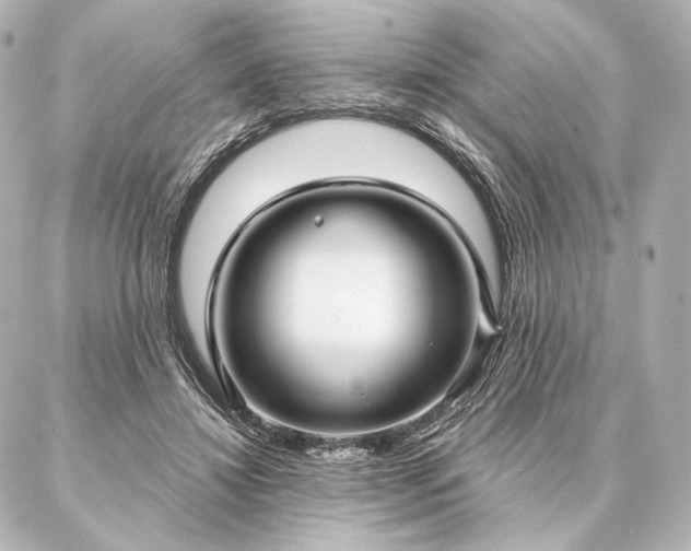 X0000086950452200704231430