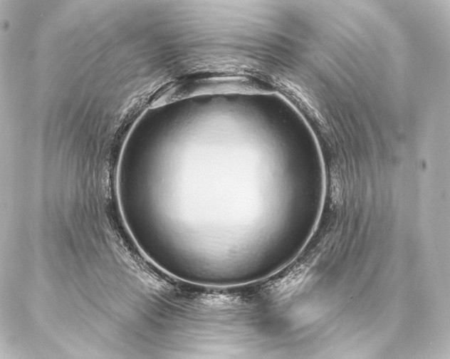 X0000086950453200704231430